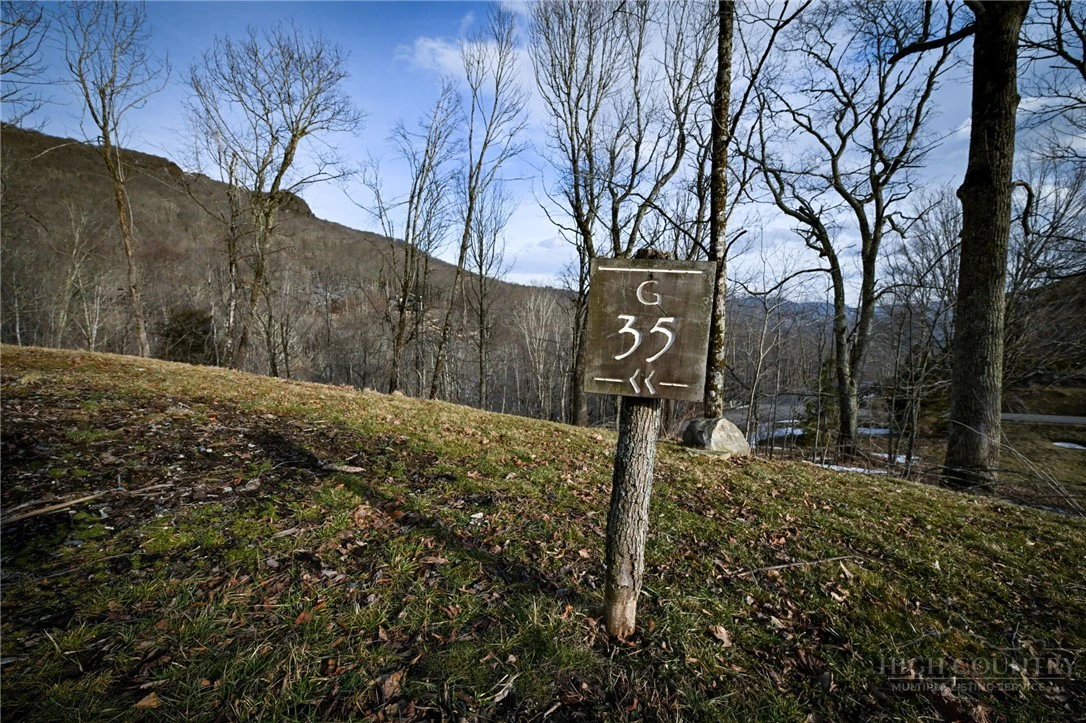 Image number 7 for the current listing