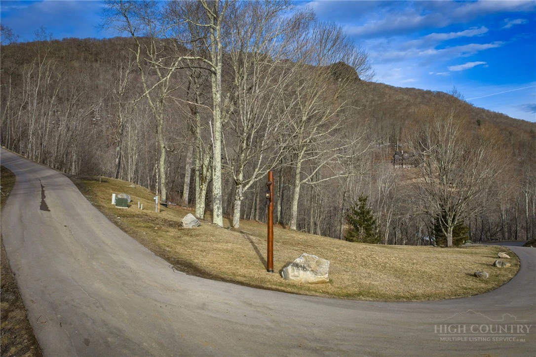 Image number 9 for the current listing