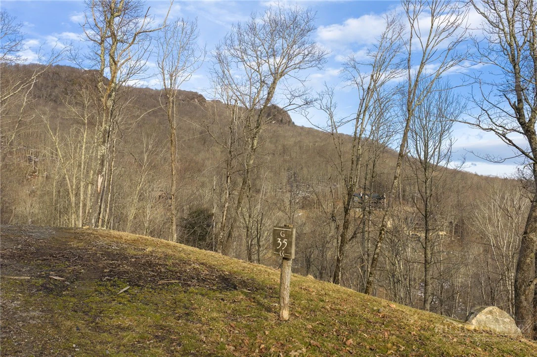 Image number 13 for the current listing
