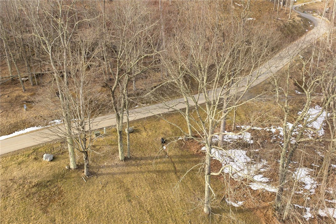 Image number 14 for the current listing