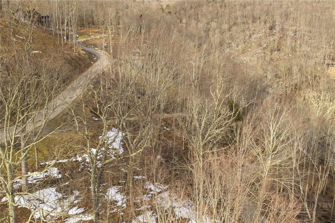 Image number 15 for the current listing