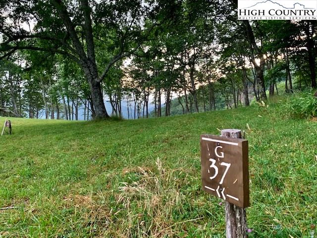 Image number 1 for the current listing