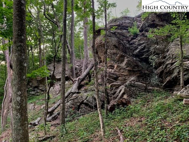 Image number 13 for the current listing