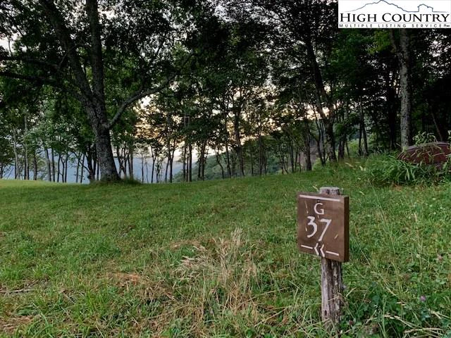 Image number 11 for the current listing