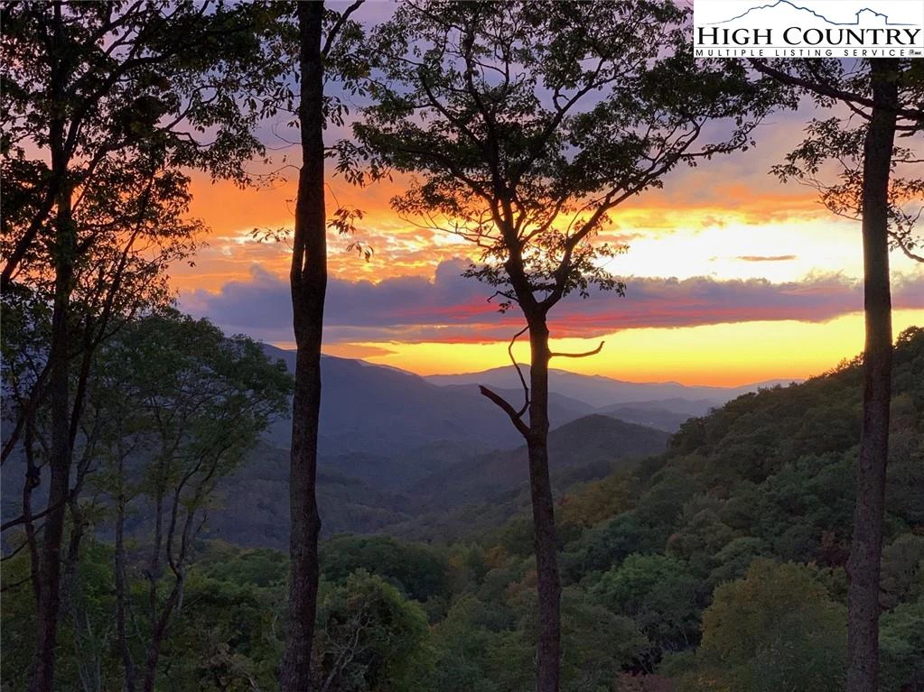 Image number 1 for the current listing