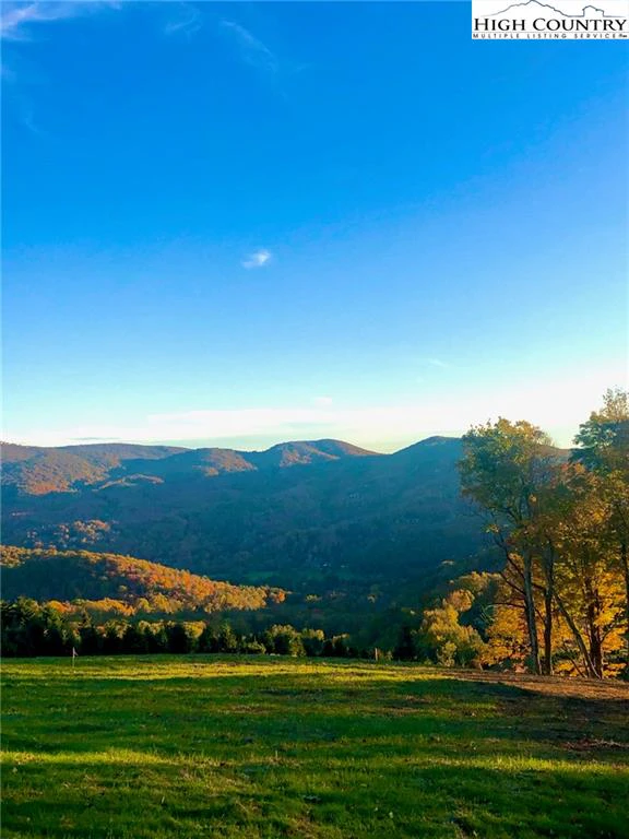 Image number 4 for the current listing