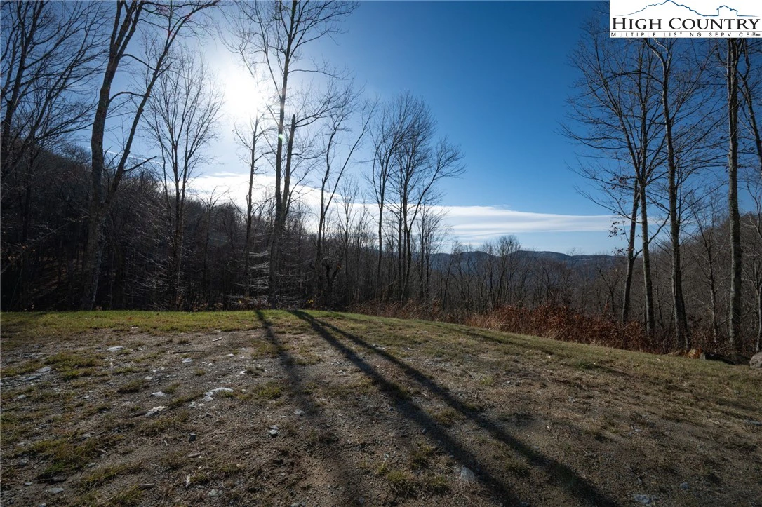 Image number 1 for the current listing