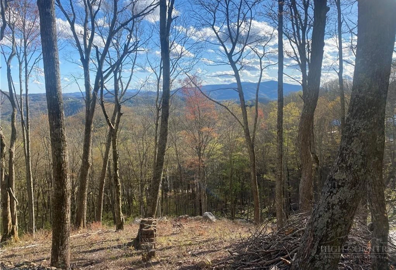 Image number 1 for the current listing