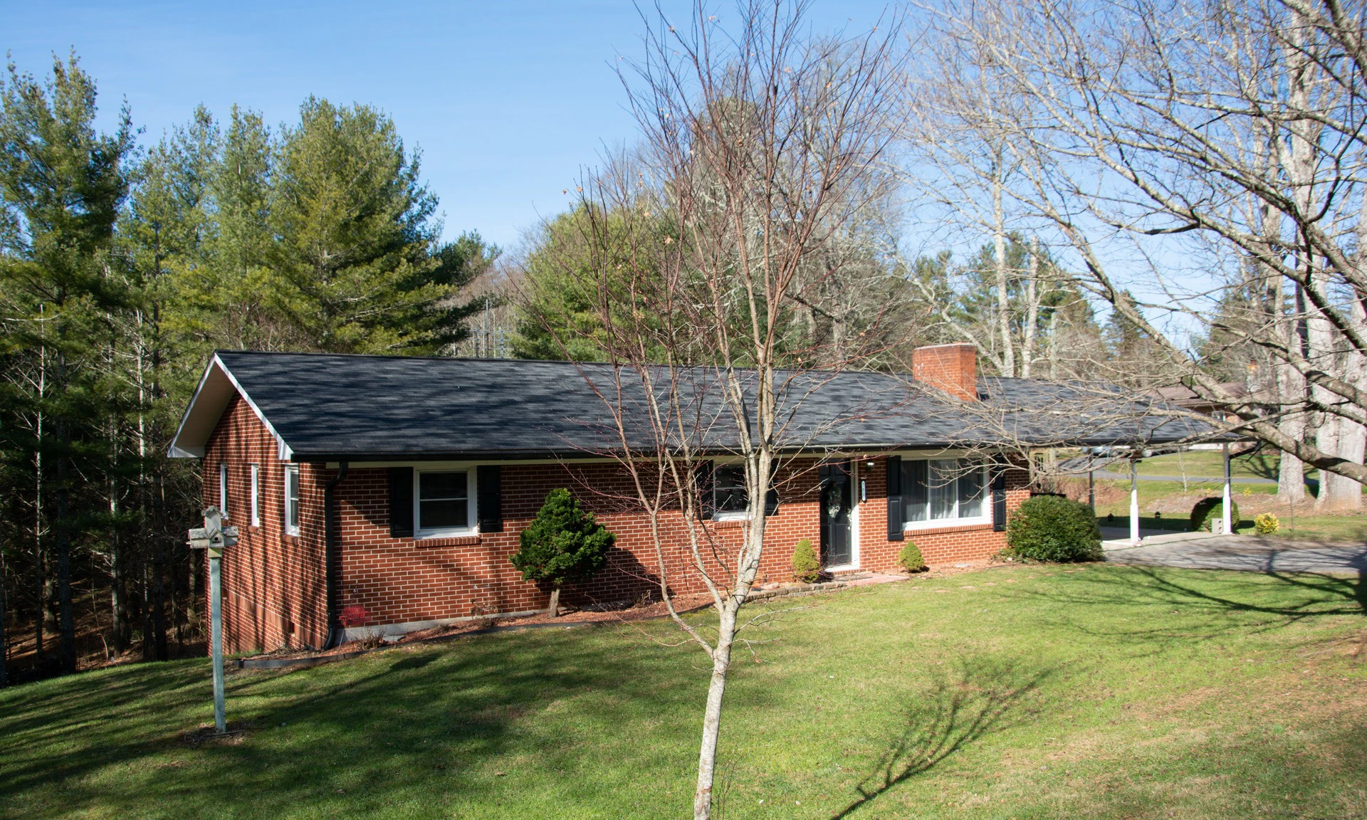 Image number 1 for the current listing
