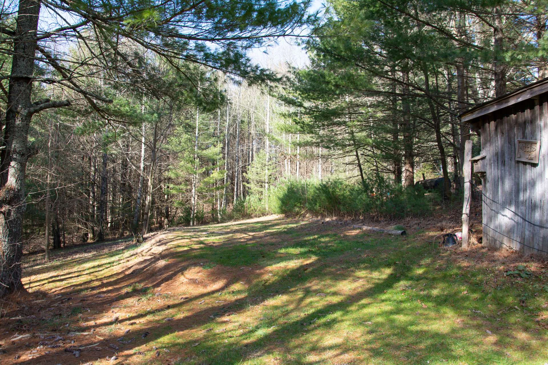 Image number 2 for the current listing