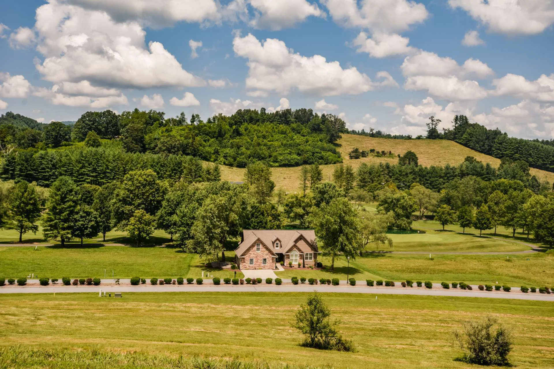 Image number 4 for the current listing
