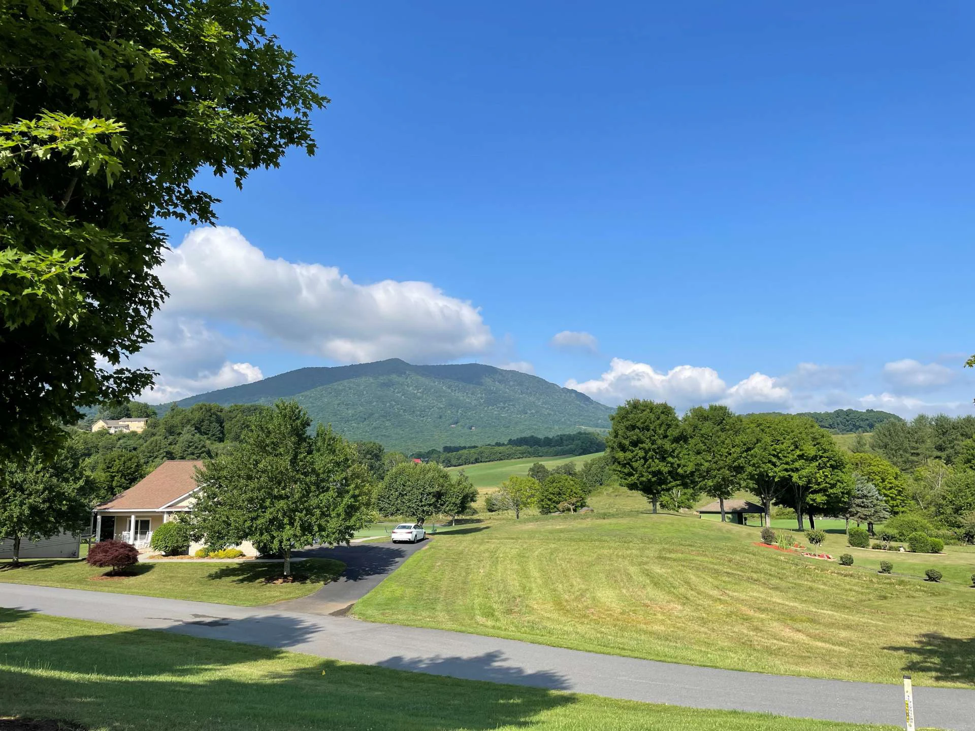 Image number 11 for the current listing