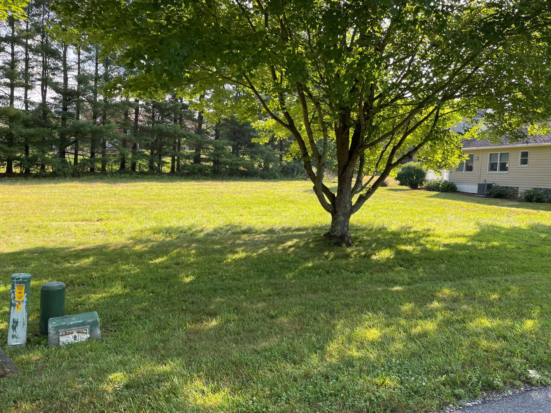 Image number 10 for the current listing