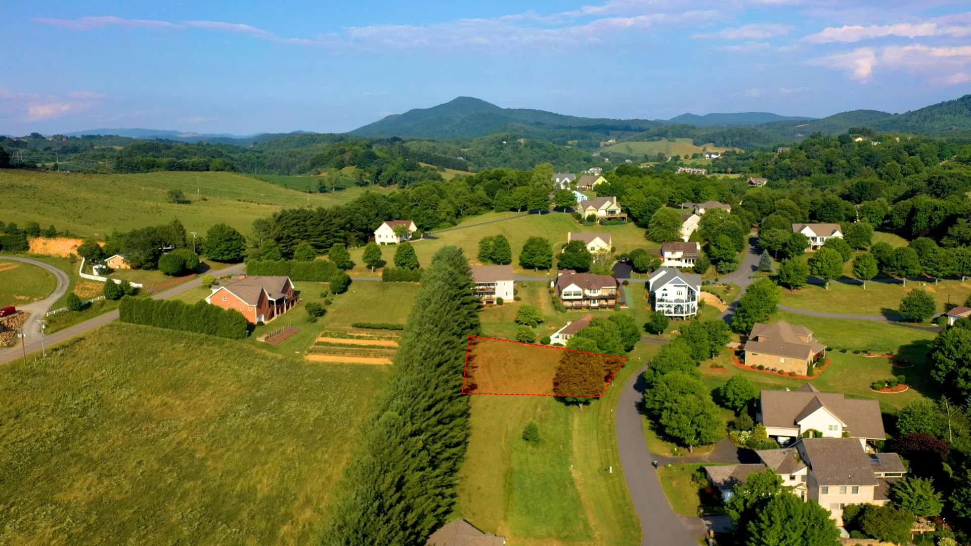 Image number 5 for the current listing