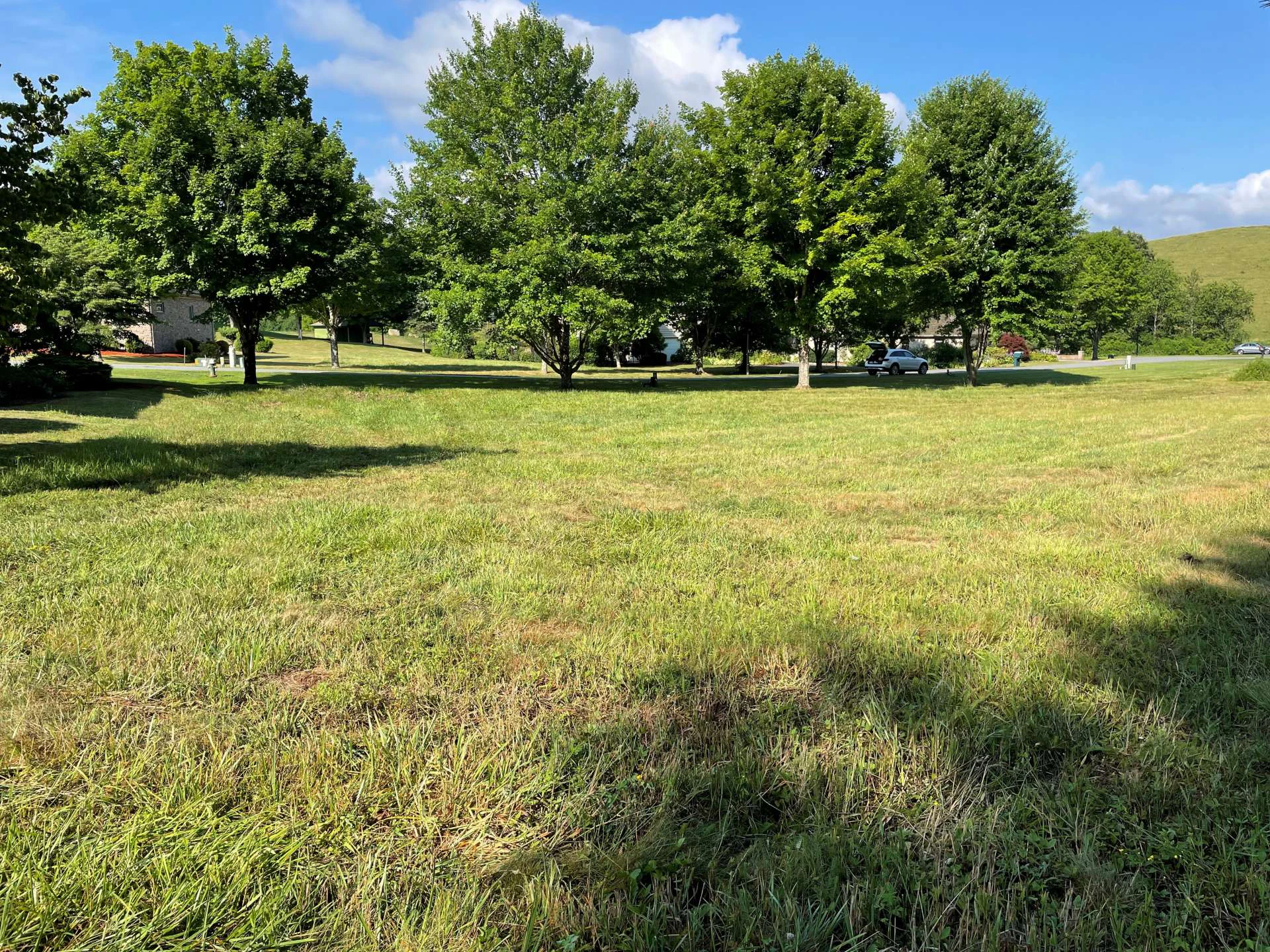 Image number 9 for the current listing