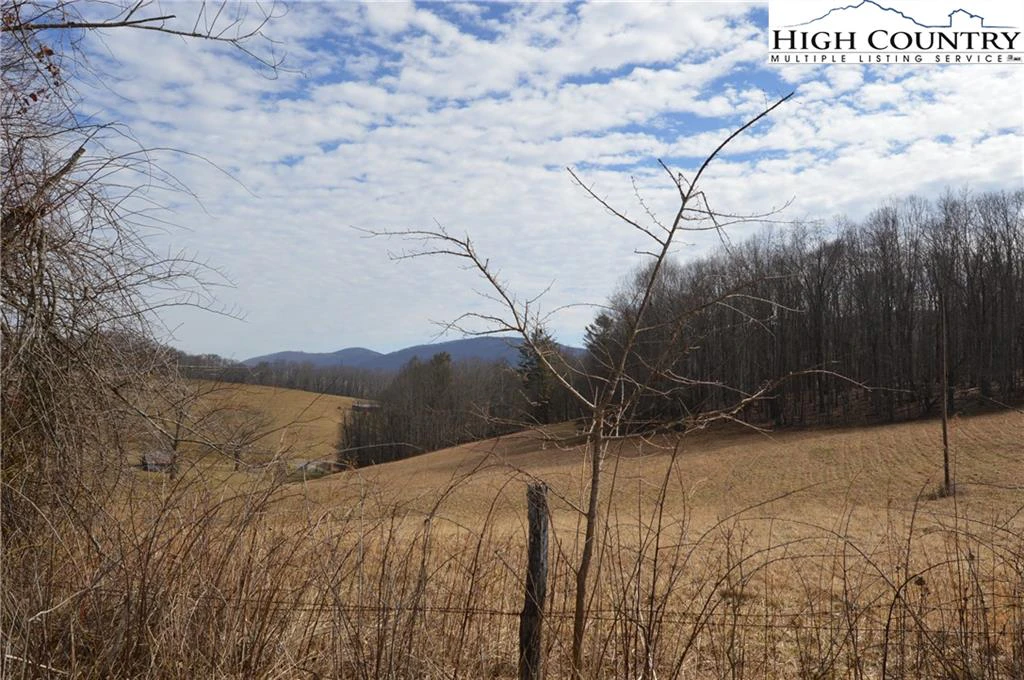 Image number 1 for the current listing