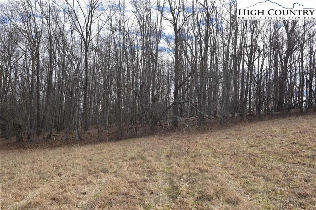 Image number 11 for the current listing
