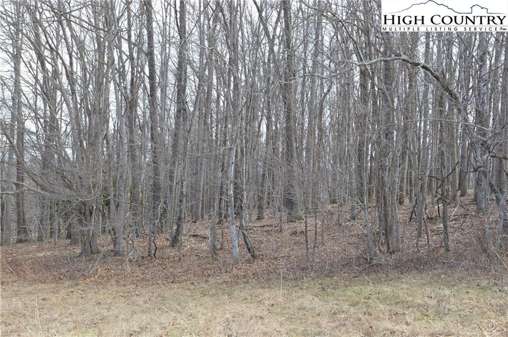 Image number 12 for the current listing