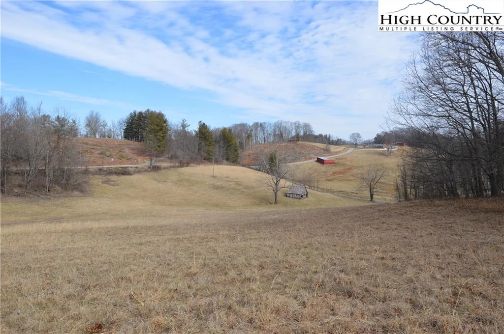 Image number 14 for the current listing