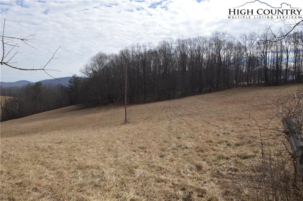 Image number 4 for the current listing