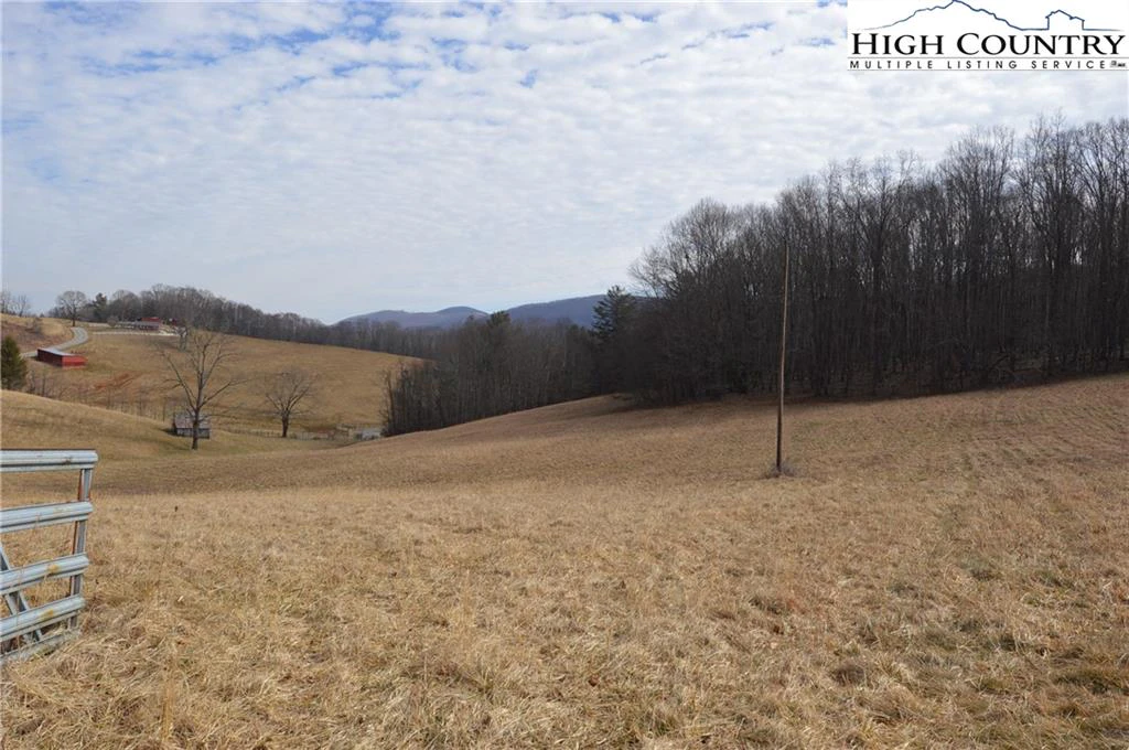 Image number 5 for the current listing
