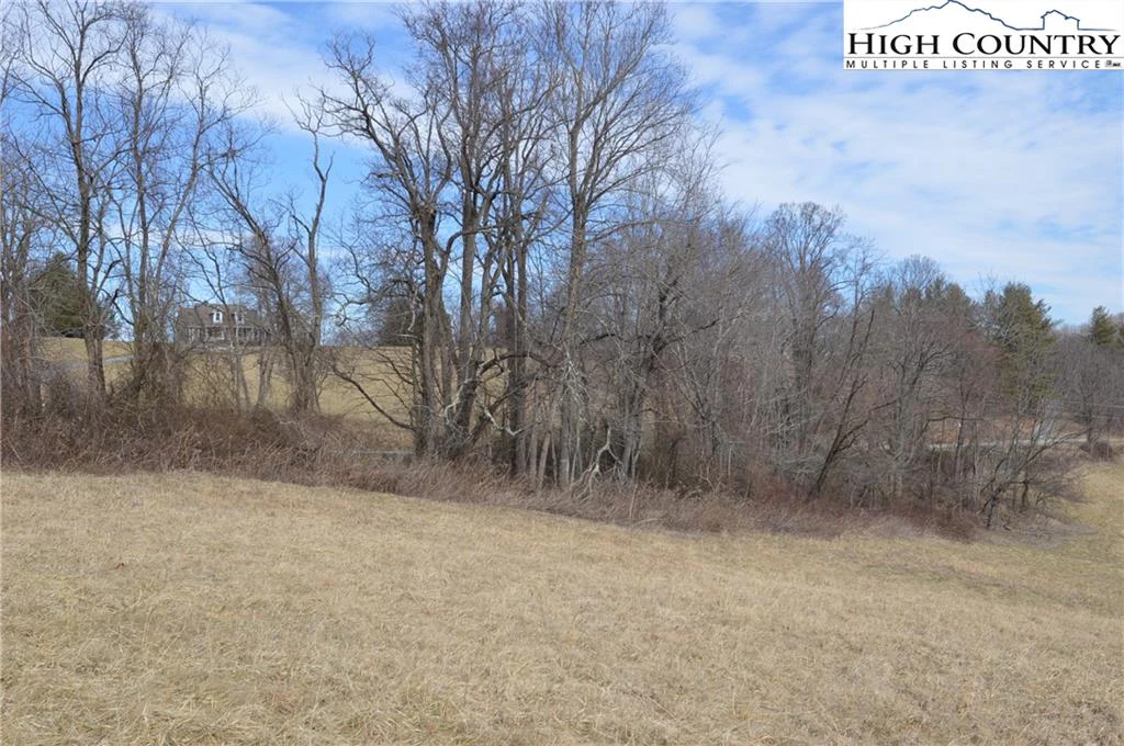 Image number 8 for the current listing
