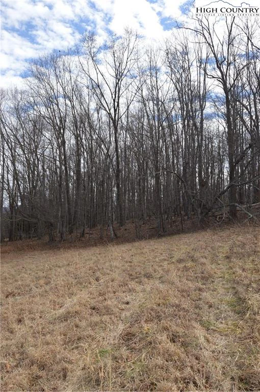 Image number 9 for the current listing