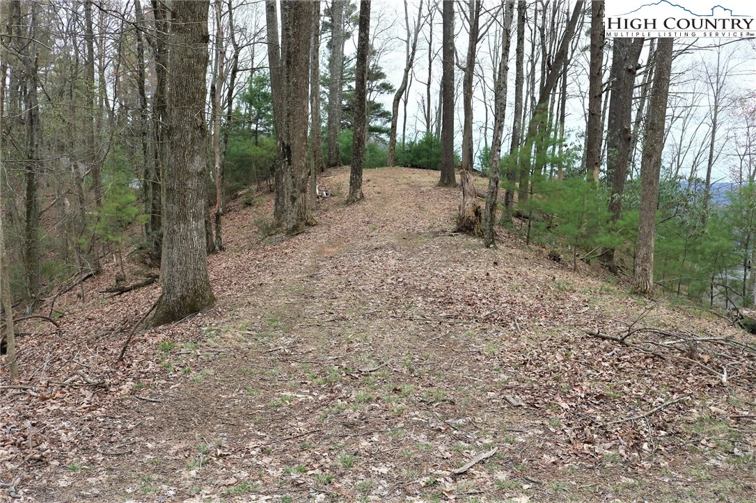 Image number 7 for the current listing