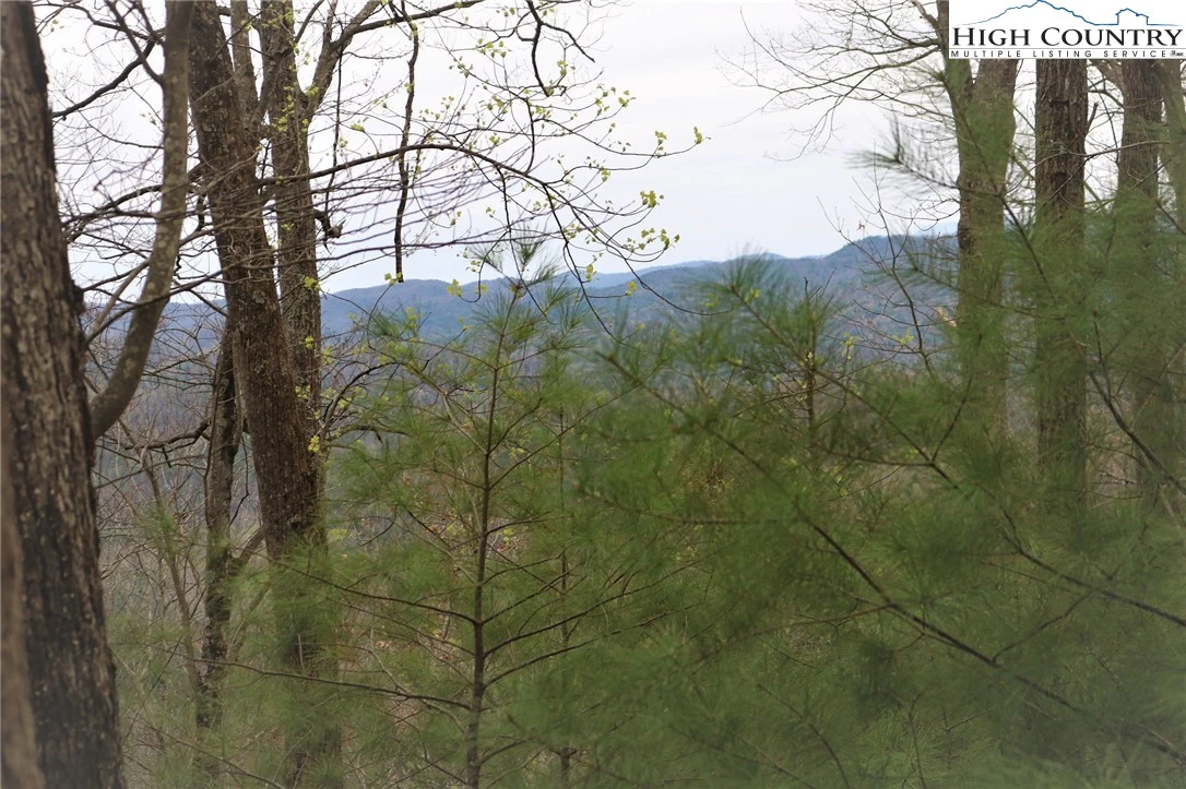 Image number 6 for the current listing