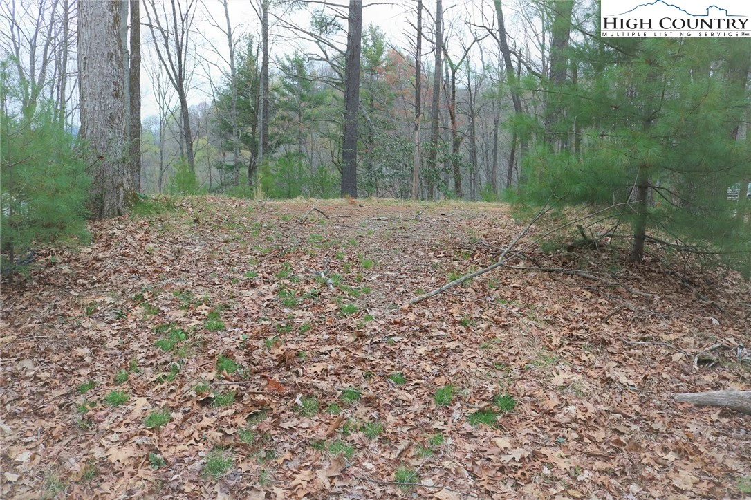 Image number 5 for the current listing