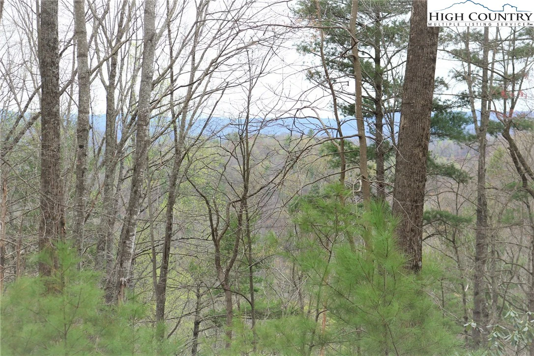 Image number 4 for the current listing