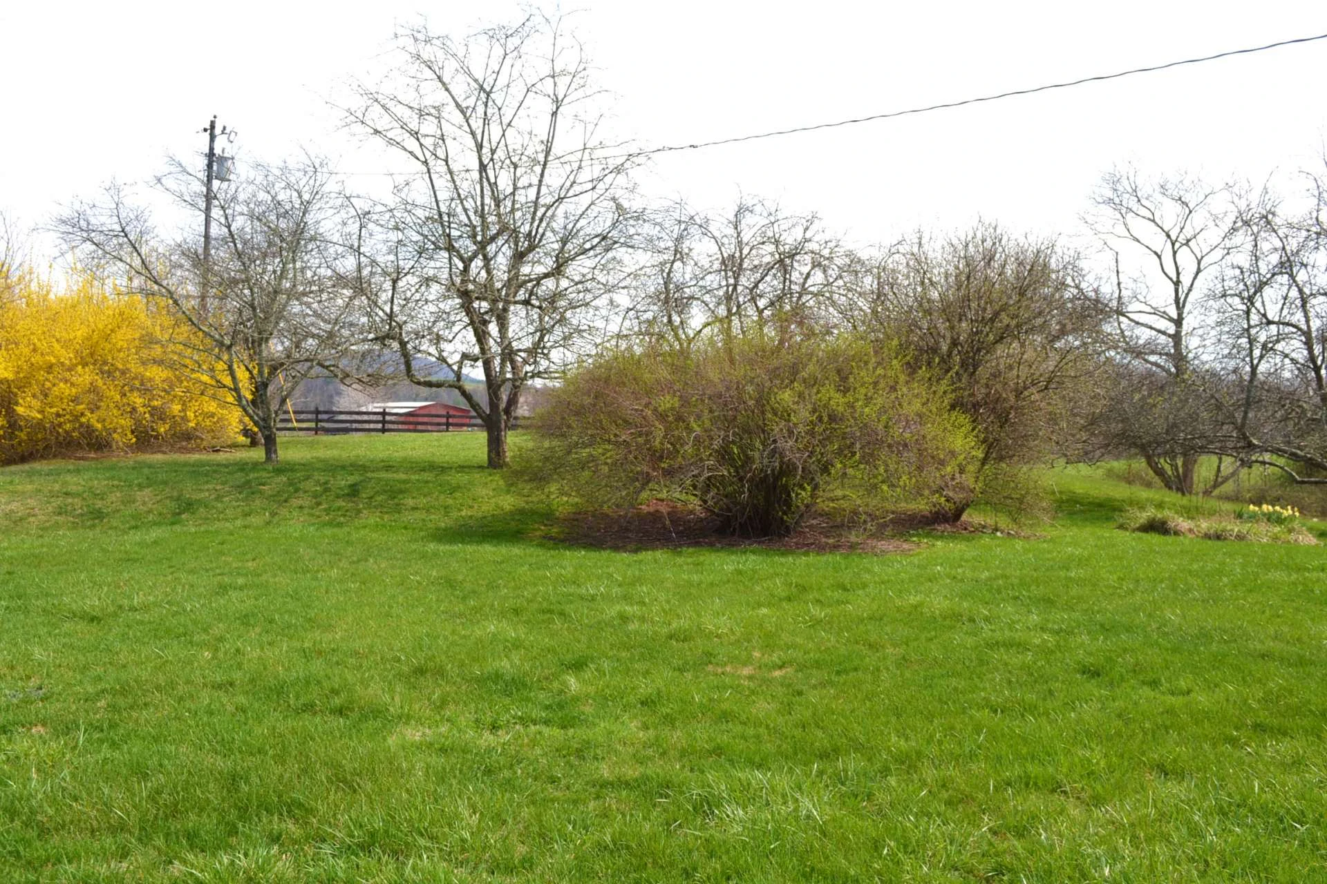 Image number 11 for the current listing