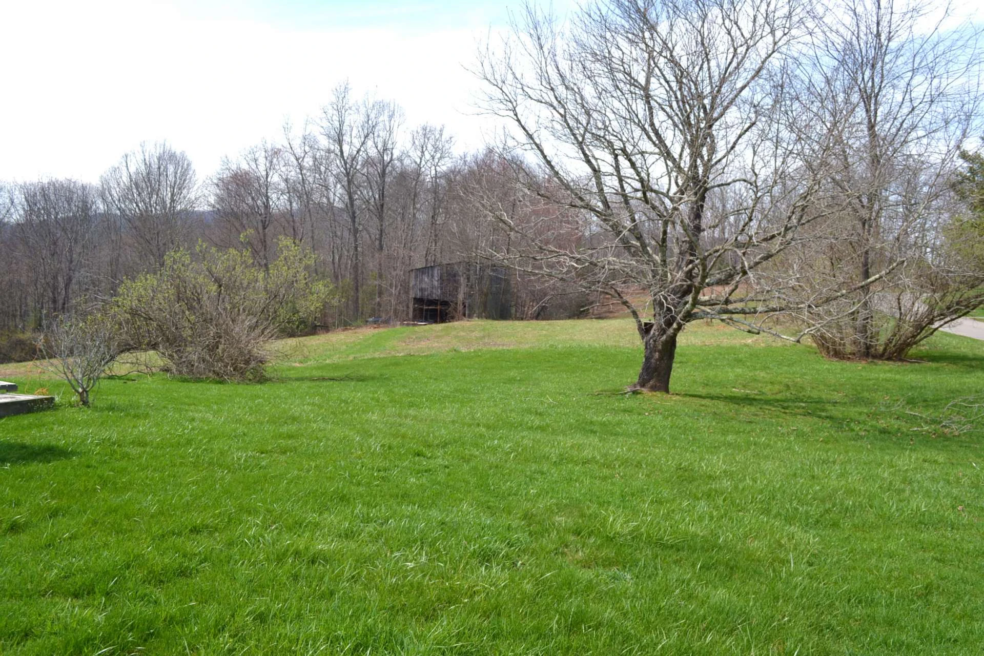 Image number 10 for the current listing