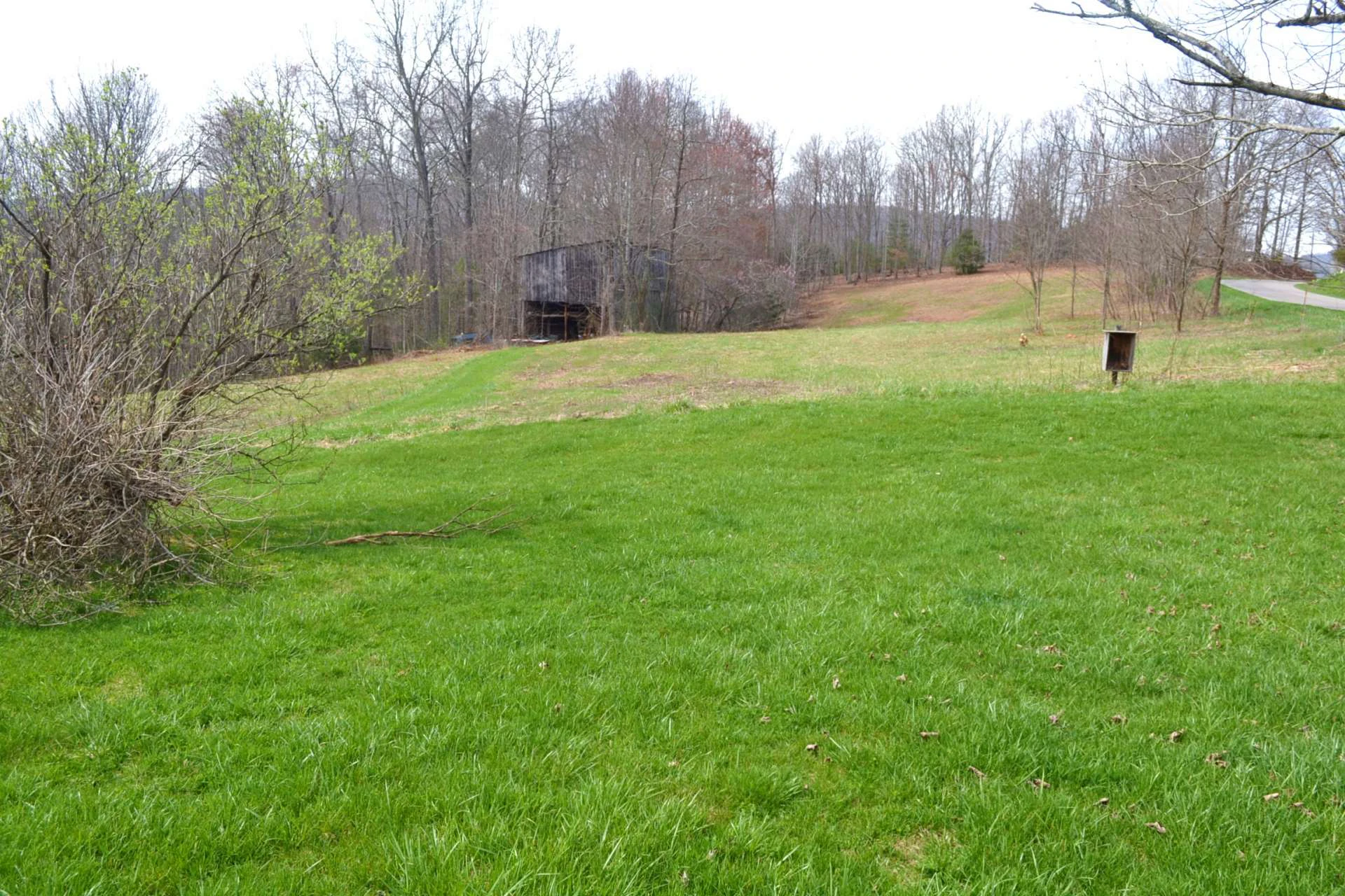 Image number 9 for the current listing