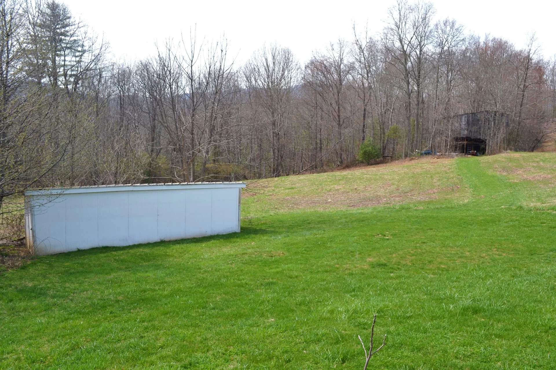 Image number 7 for the current listing