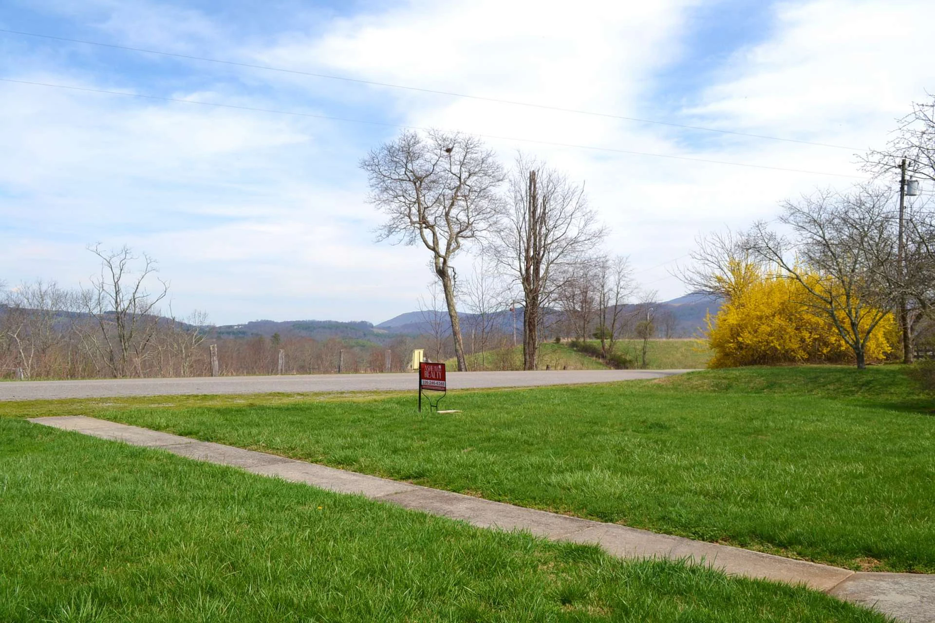 Image number 6 for the current listing