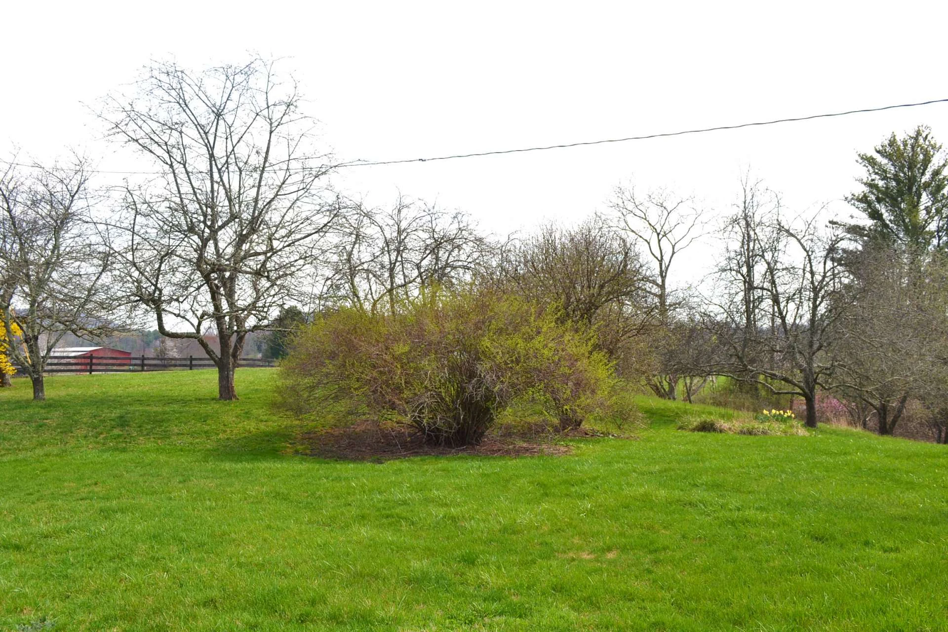 Image number 4 for the current listing