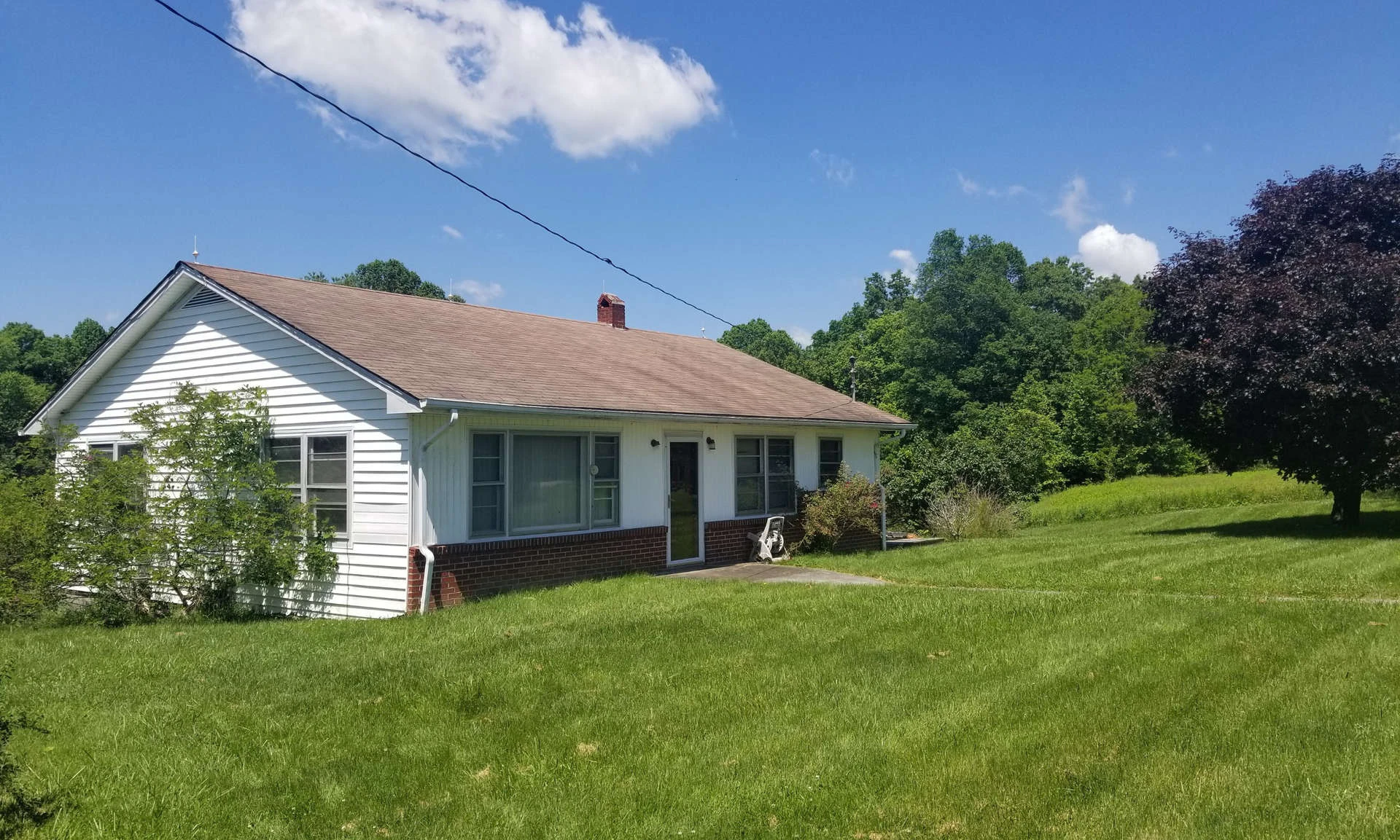 Image number 1 for the current listing