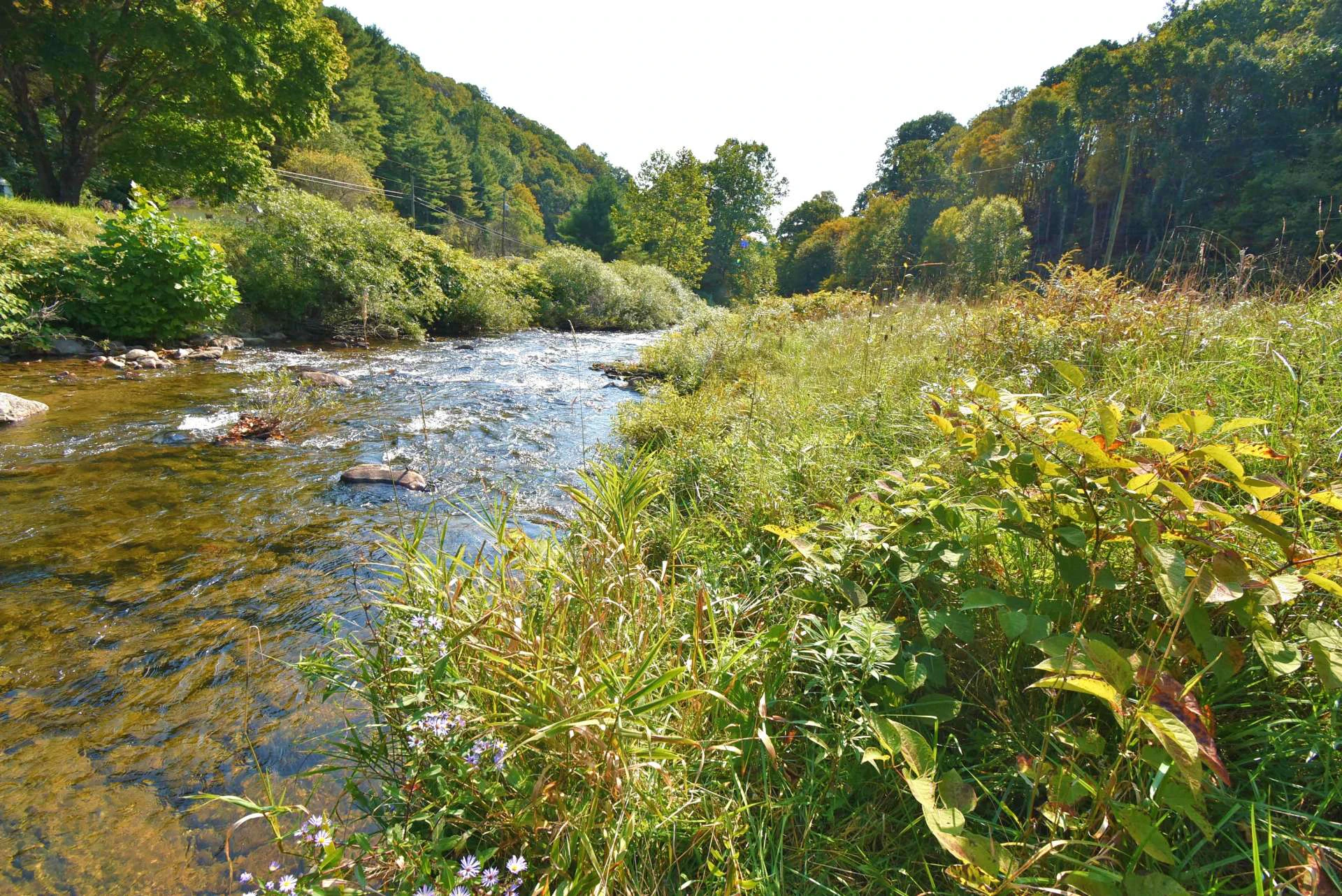 Image number 13 for the current listing