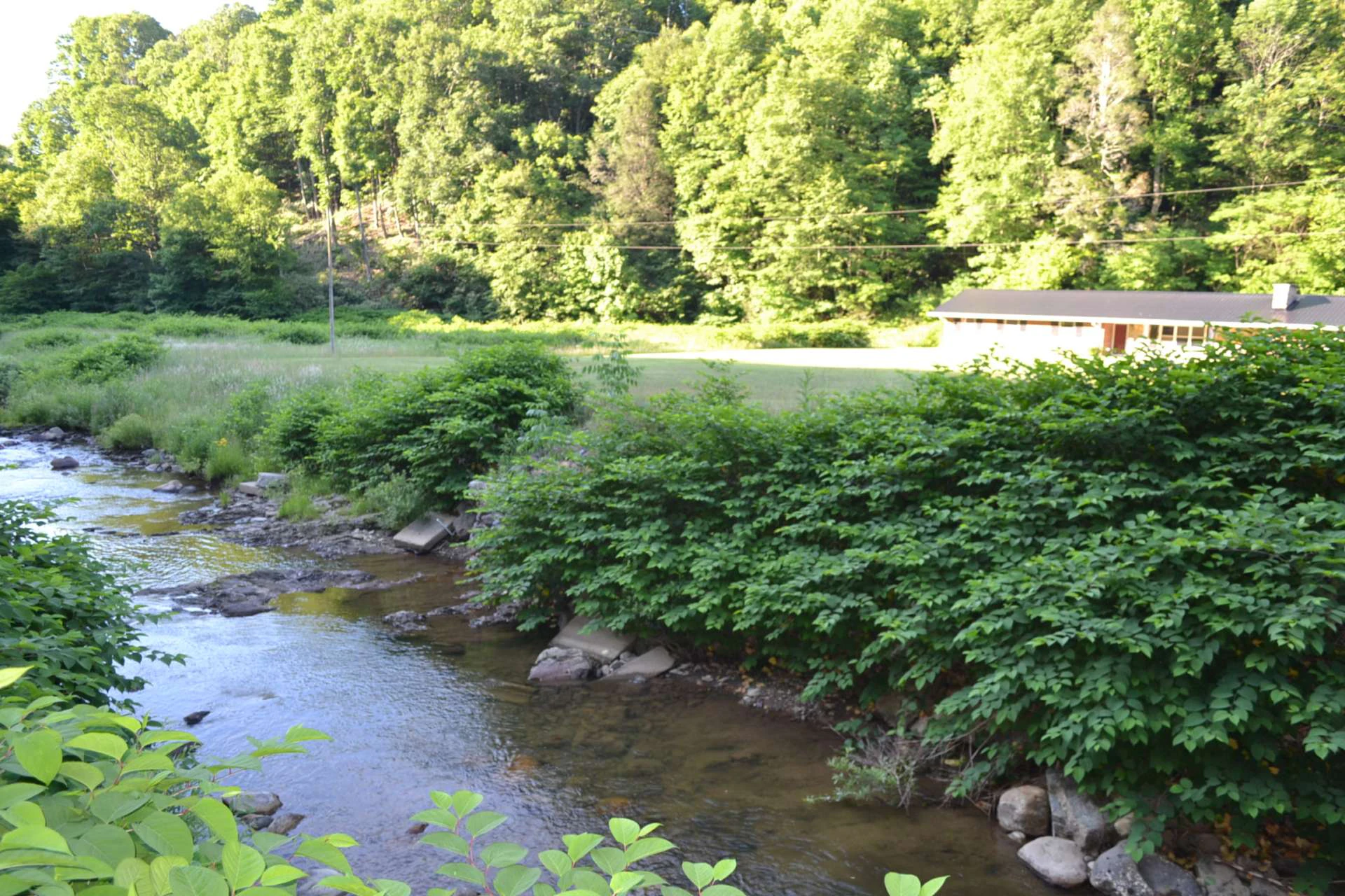 Image number 4 for the current listing