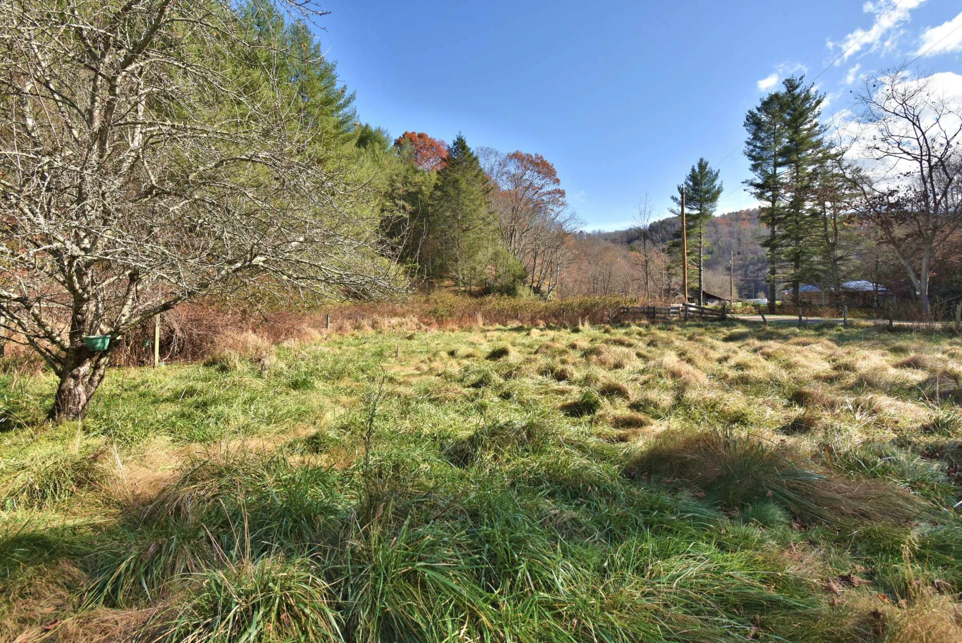 Image number 7 for the current listing