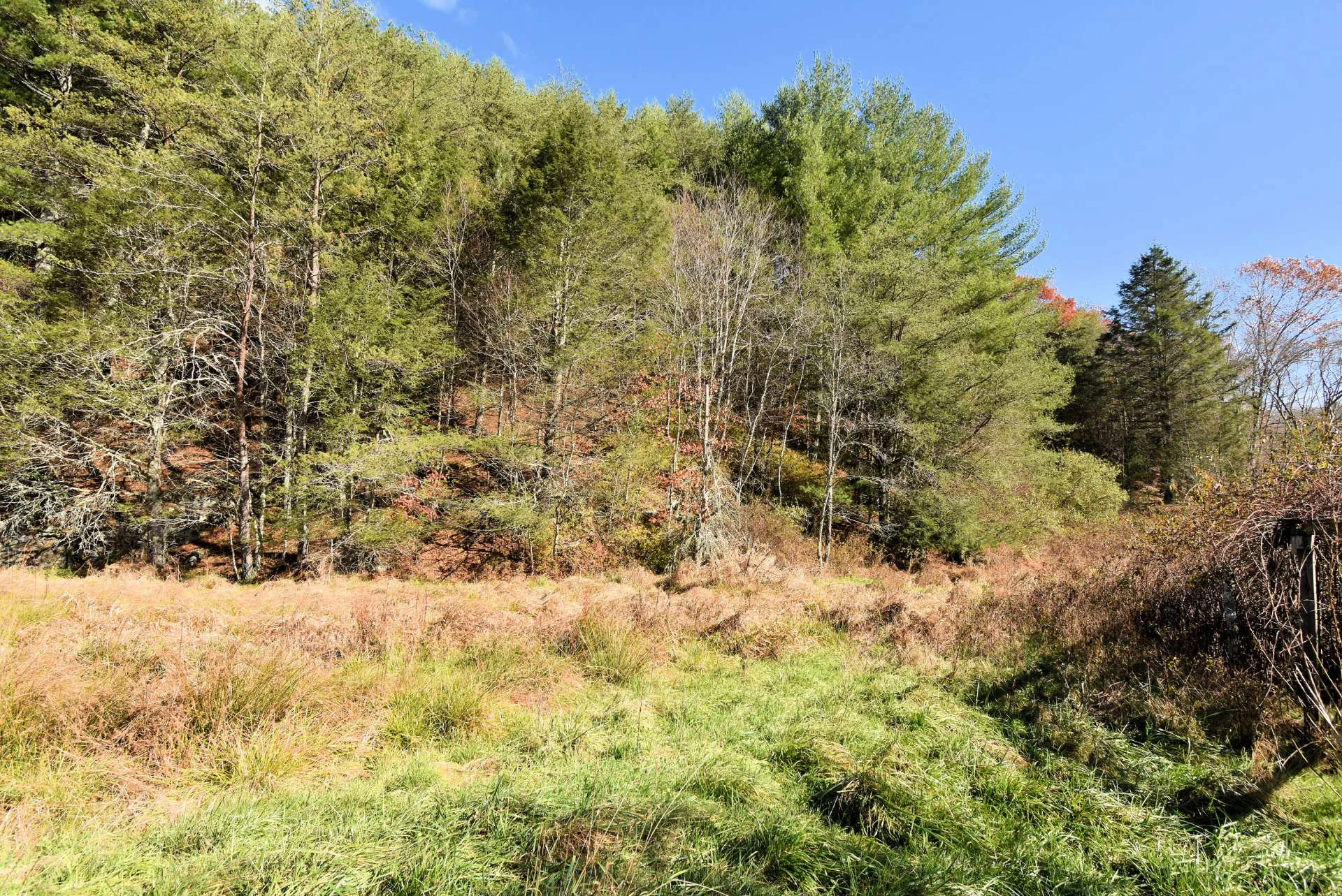 Image number 6 for the current listing