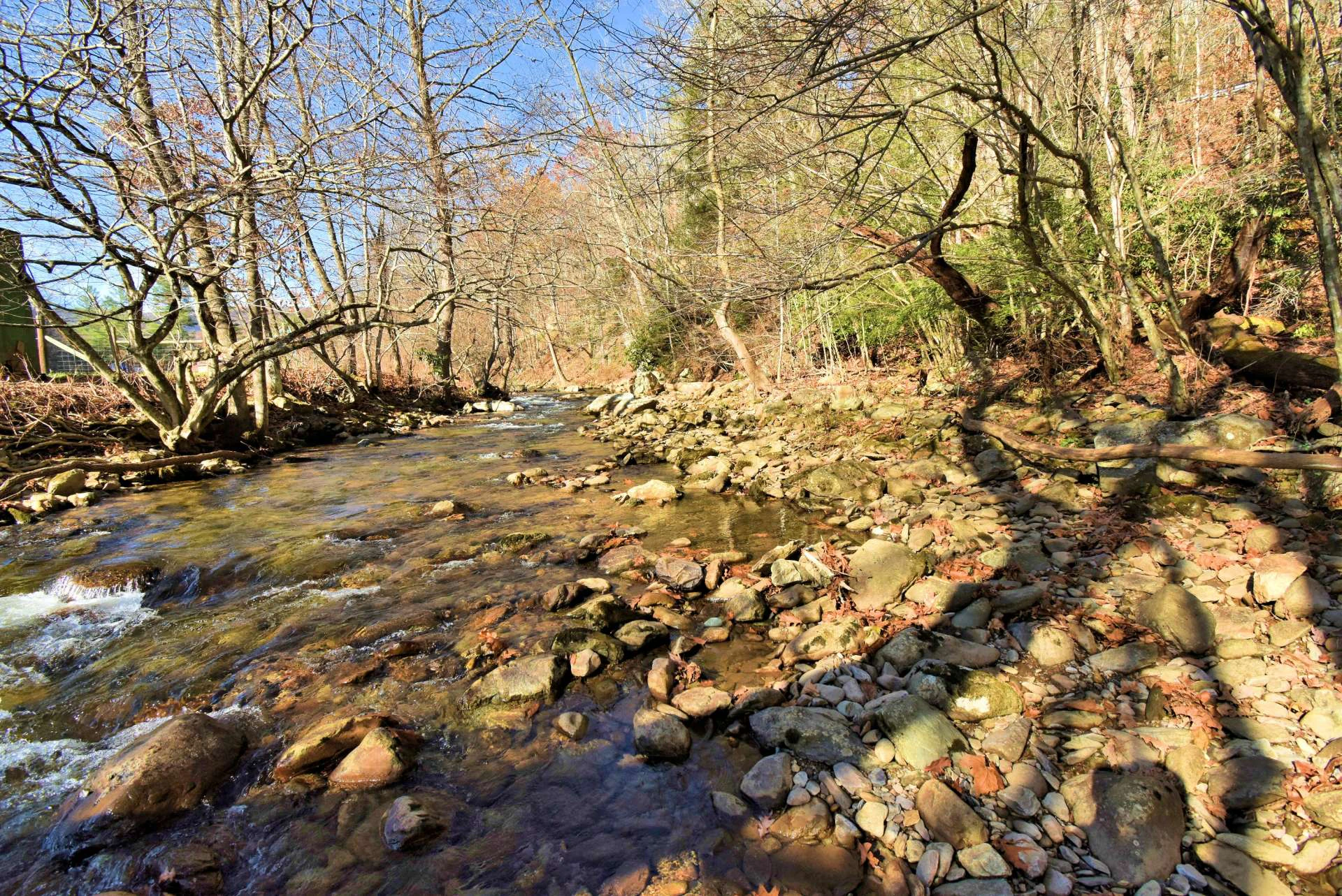 Image number 13 for the current listing