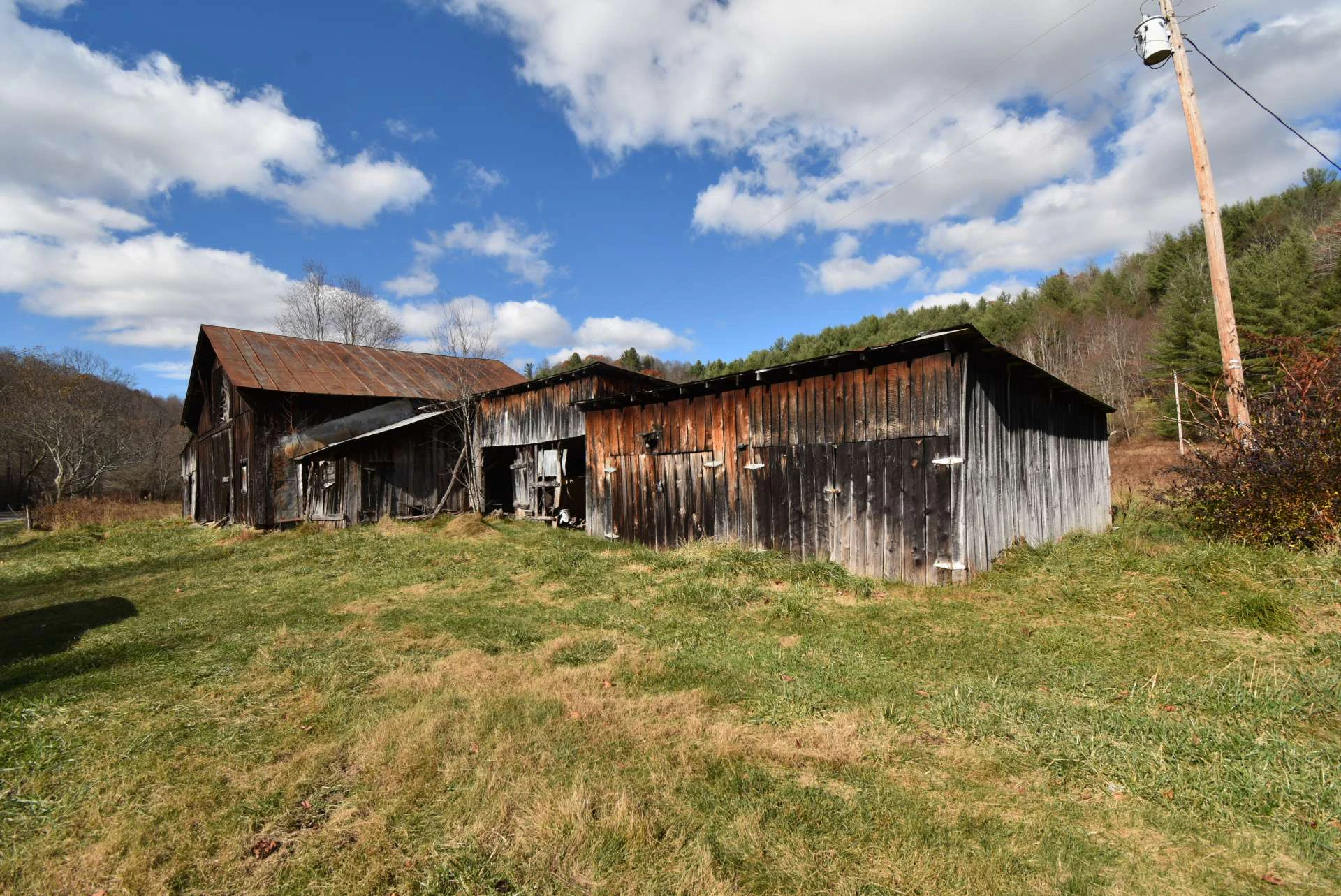 Image number 4 for the current listing