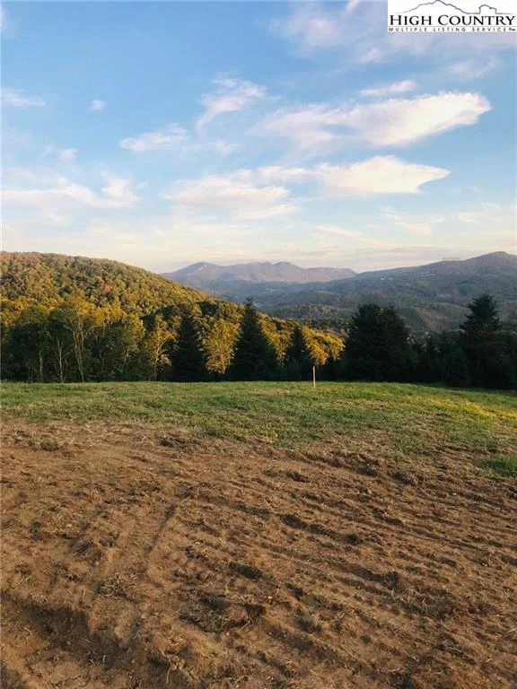 Image number 1 for the current listing