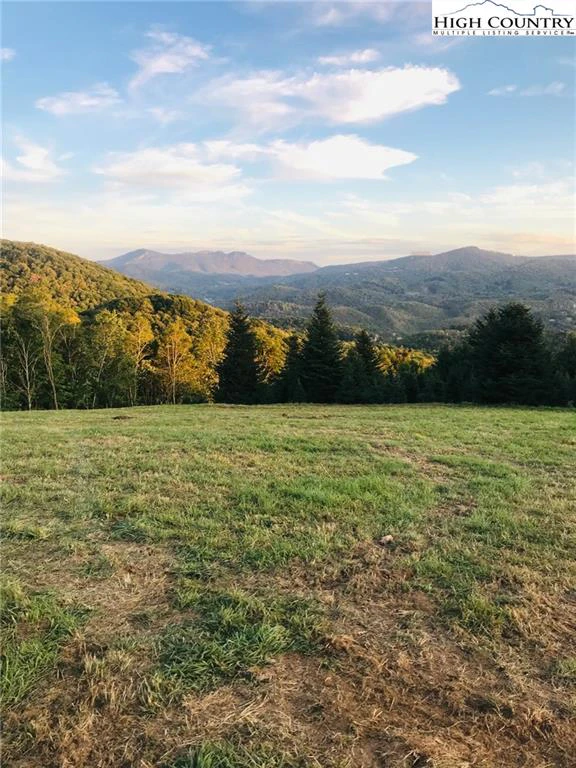 Image number 3 for the current listing