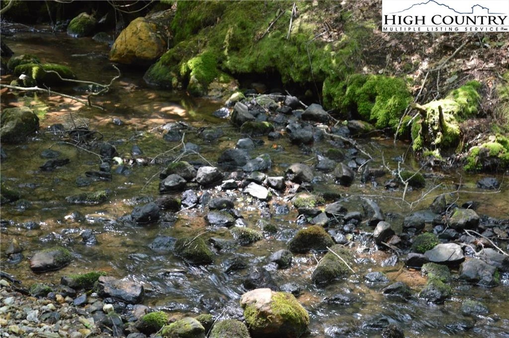 Image number 1 for the current listing