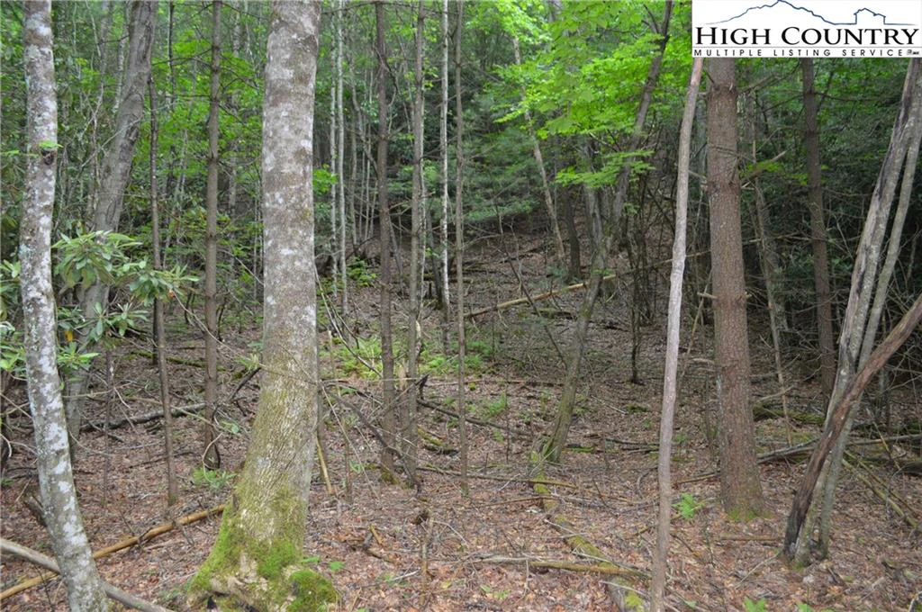 Image number 13 for the current listing