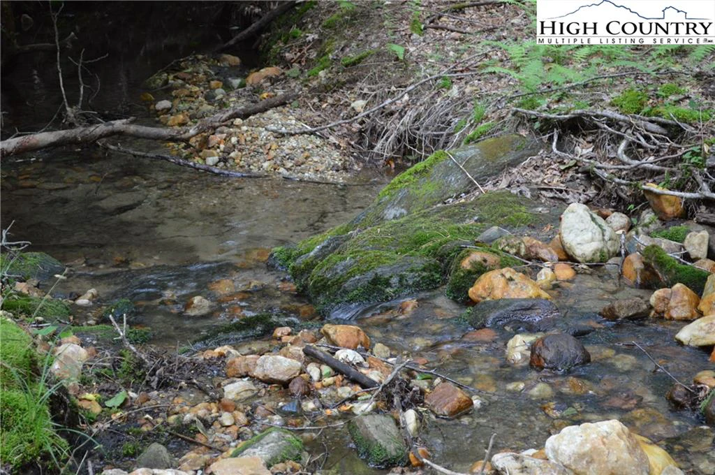 Image number 2 for the current listing