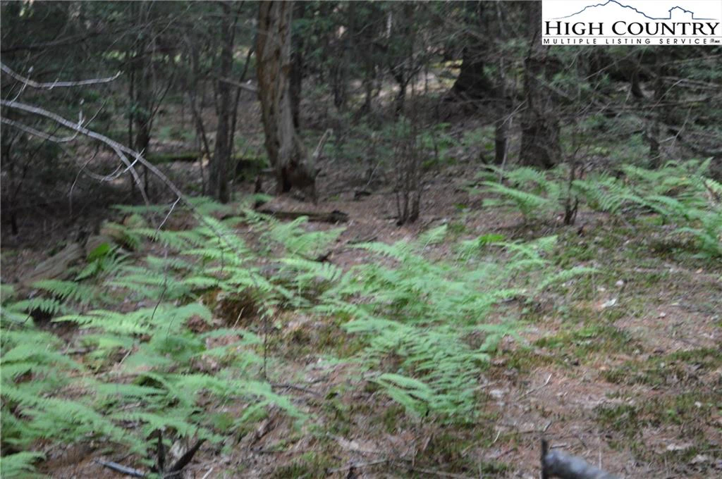 Image number 18 for the current listing